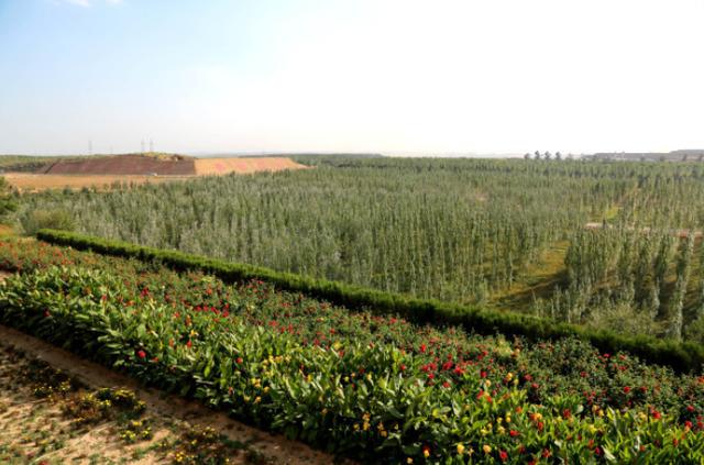 国家能源投资集团神华准能：用绿色绘就发展底色