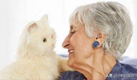 为啥年轻人爱养猫老人喜欢养狗,陪伴老人养狗还是养猫