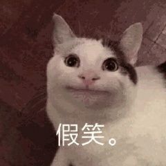 年纪轻轻脑子不好使表情包,年纪轻轻看什么湖人表情包