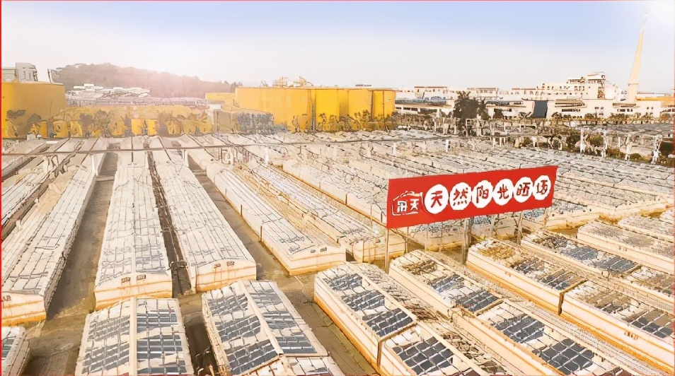 海天味极鲜做菜味道好吗,海天味极鲜跟酿造酱油啥区别