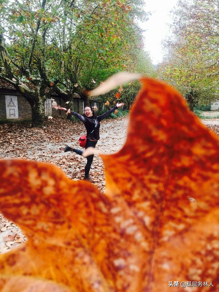 云南澄江兵工厂,云南兵工厂旧址