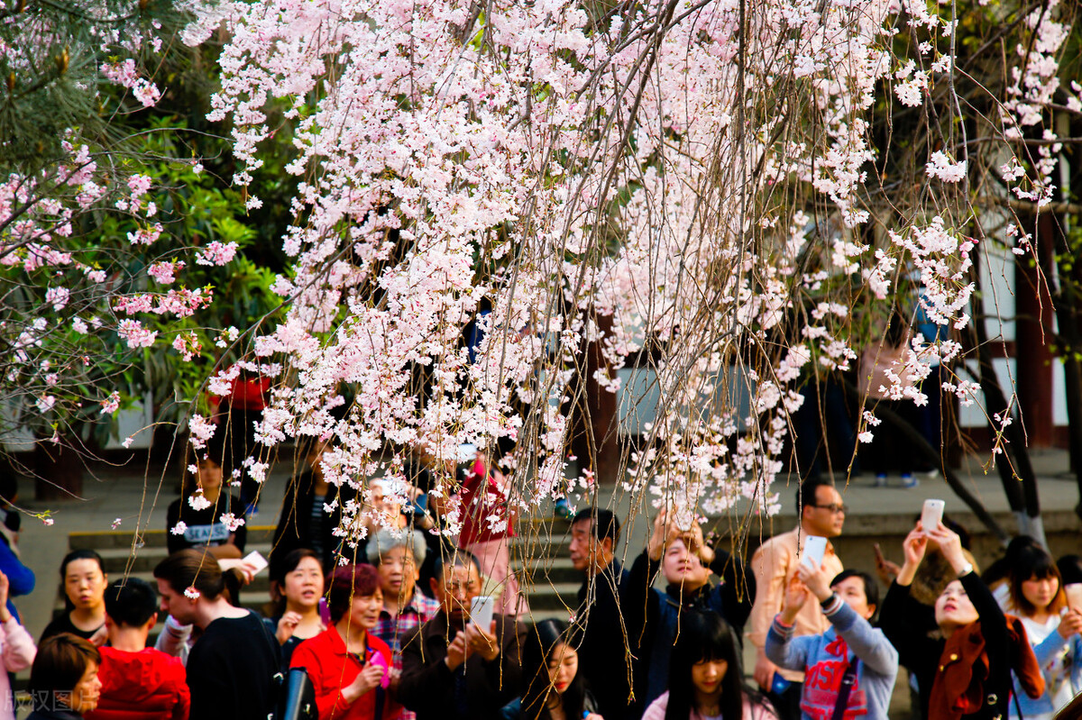 亲子游西安必去景点攻略,西安旅游攻略亲子三日游景点推荐