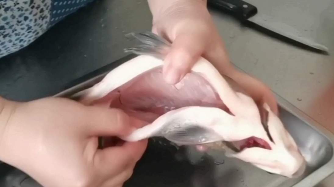 红烧鱼怎么做不腥又鲜美又下饭,红烧鱼怎么做又香又嫩赶紧学起来