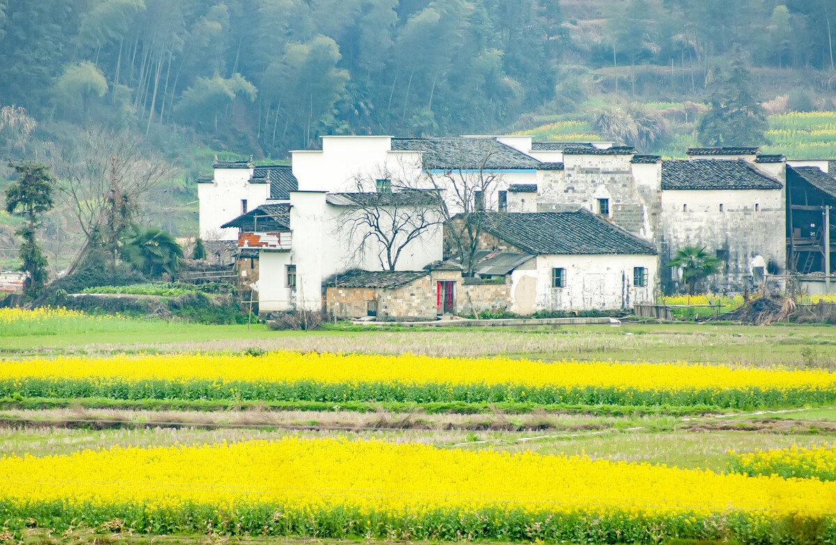春季自驾游最美路线推荐,春季适合自驾游路线推荐