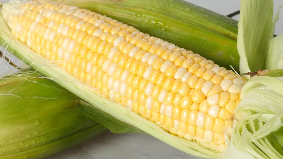 鲜嫩多汁即食水果玉米,鲜甜嫩玉米