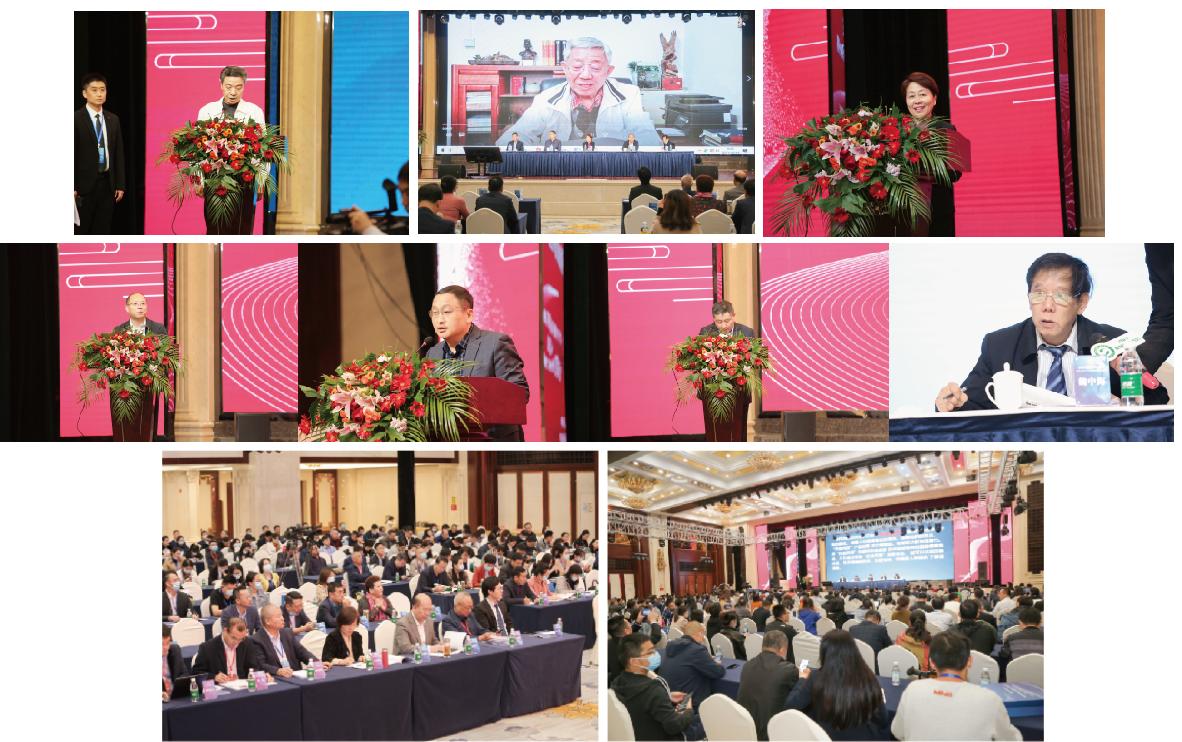 首届中医药传承创新大会,发酵中药现状