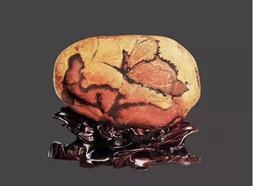 捡到这种石头千万别扔价值2亿,河里捡到的价值不菲的石头