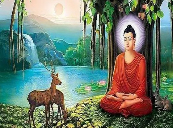 印度的黄种人都是哪来的？