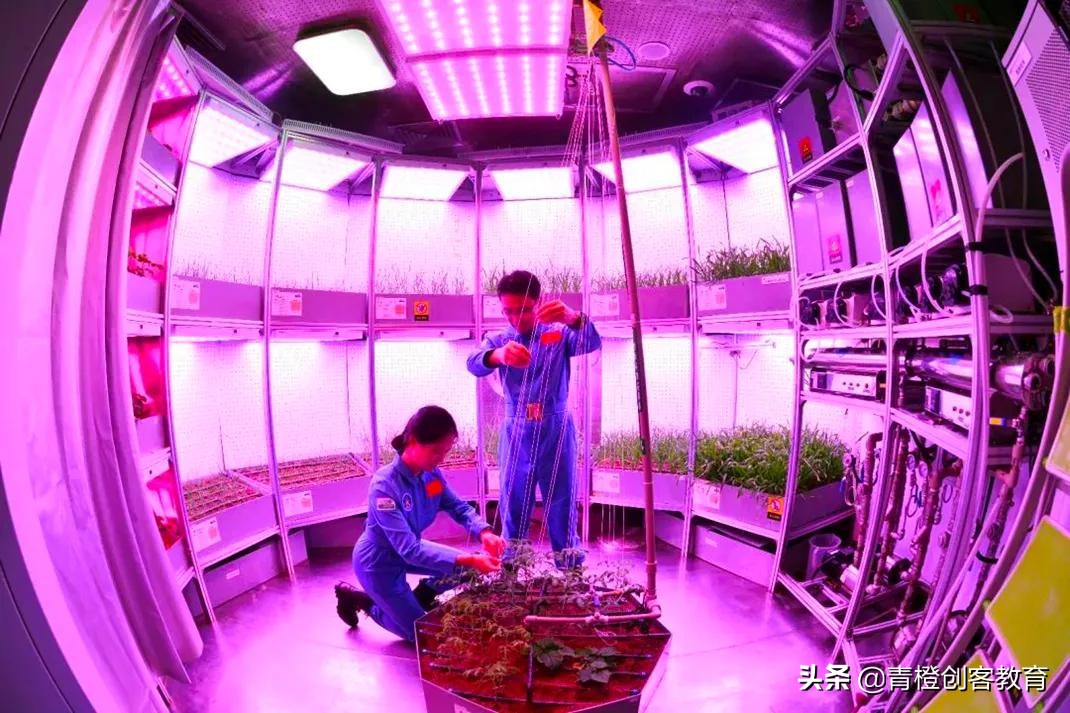 青橙设计工作室,成都青橙营地夏令营