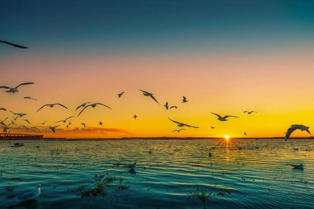 武汉周边自驾一日游小众免费,国内最值得自驾游旅行的地方