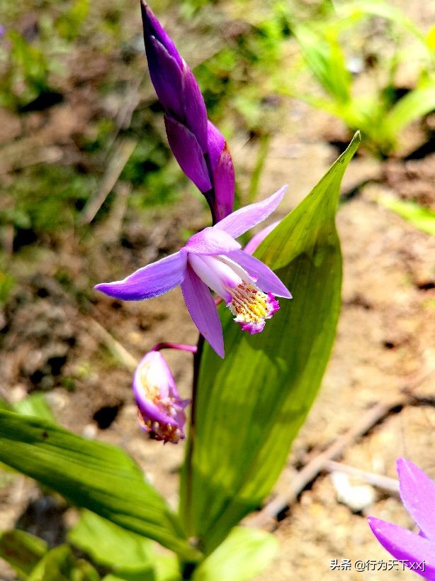 「追梦高山上的禅悟」探秘“南鳌太”越城岭，打卡鬼崽石