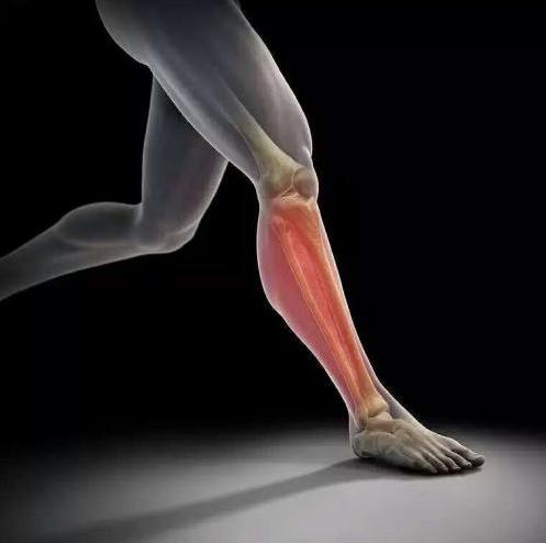 长期训练小腿胫骨疼怎么办,胫骨骨膜炎怎么康复训练