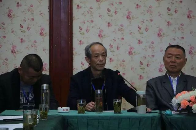 汪氏全球宗亲联谊大会,东至县汪氏族谱