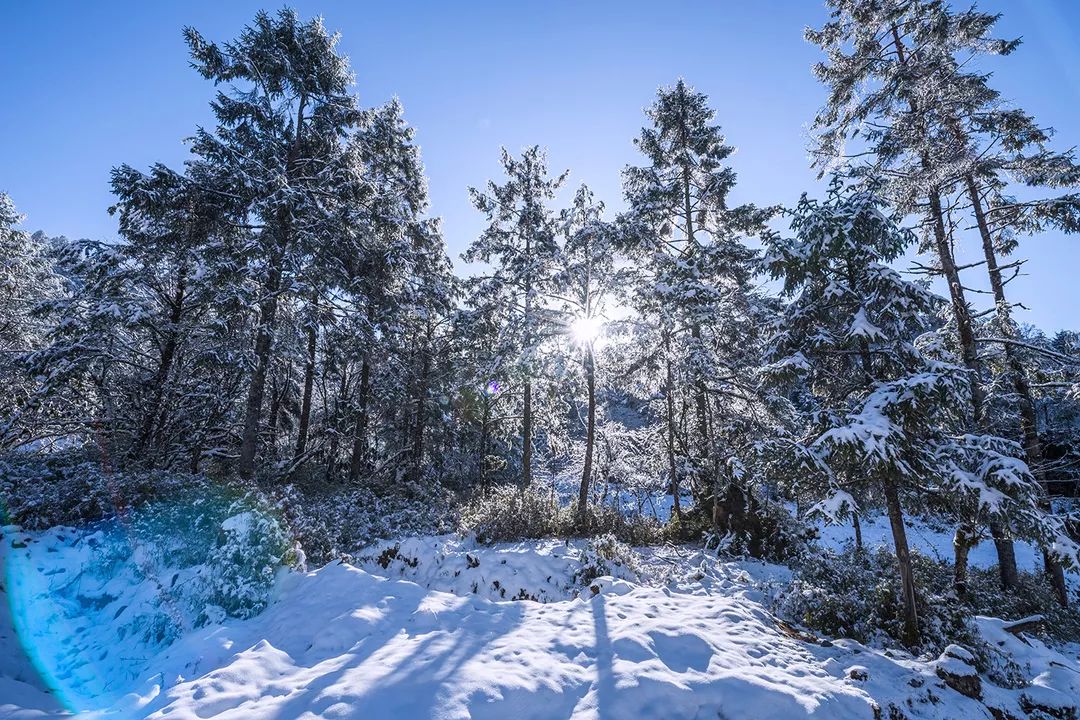 成都附近看雪一日游推荐表,成都周边轻徒步玩雪一日游