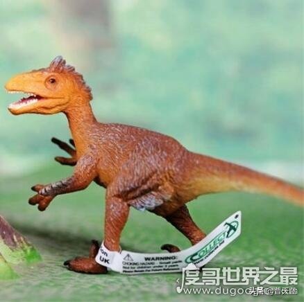 凶猛龙与恐龙大战,好凶猛的恐龙视频