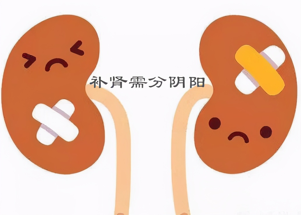 补肾养肾需分阴阳，肾阴虚、肾阳虚到底该如何区分？