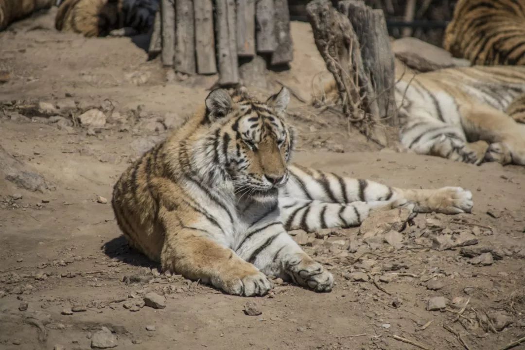 12月份上海周边好去处,上海年轻人周末玩乐好去处