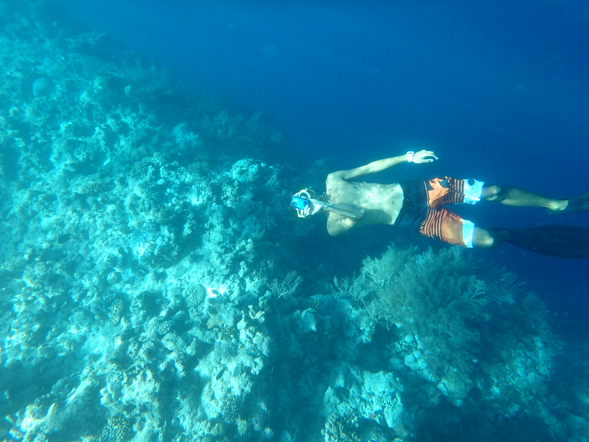 帕劳旅游十大攻略,帕劳上帝的水族箱