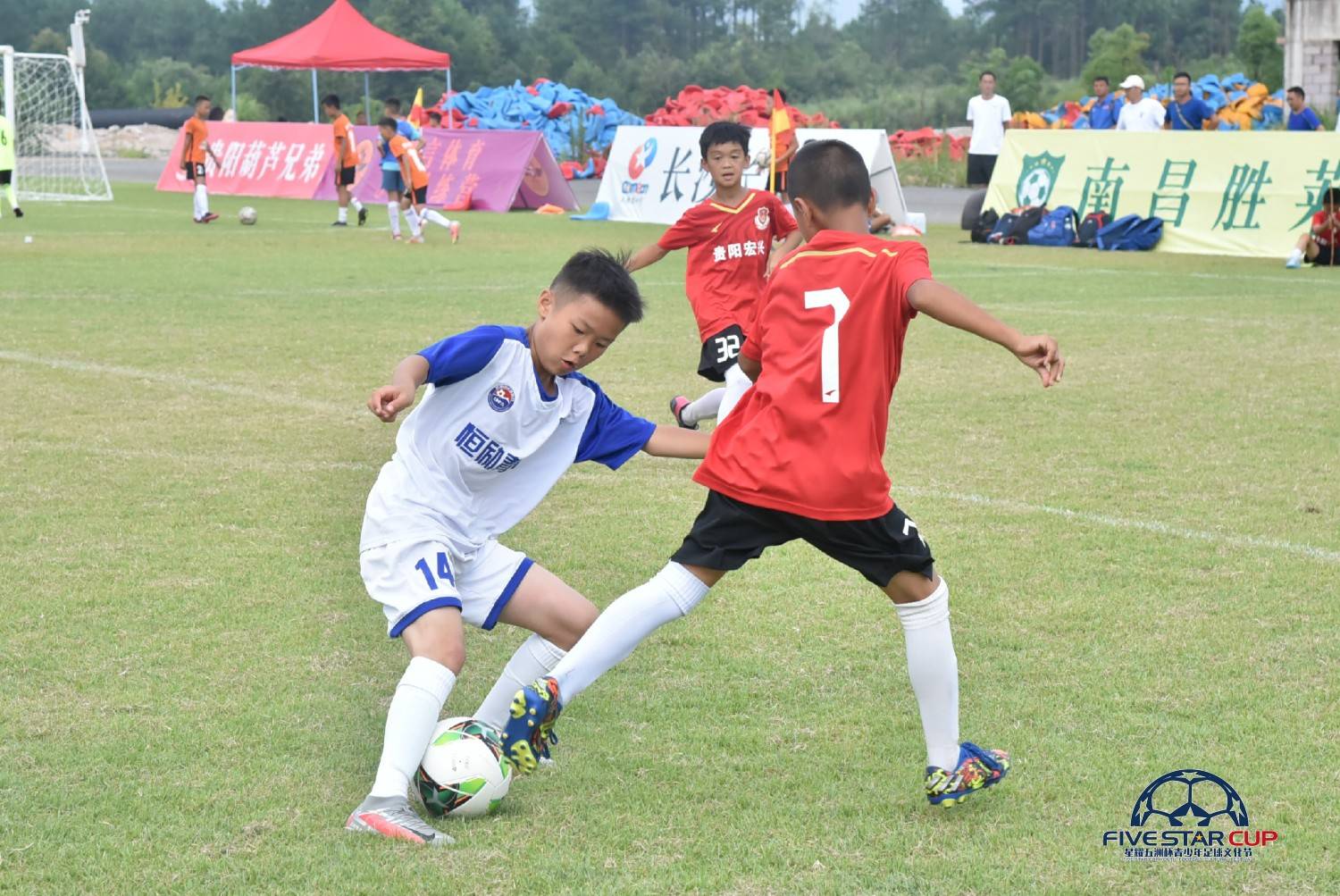 卡尔美五洲杯赛事,卡尔美星耀五洲杯直播