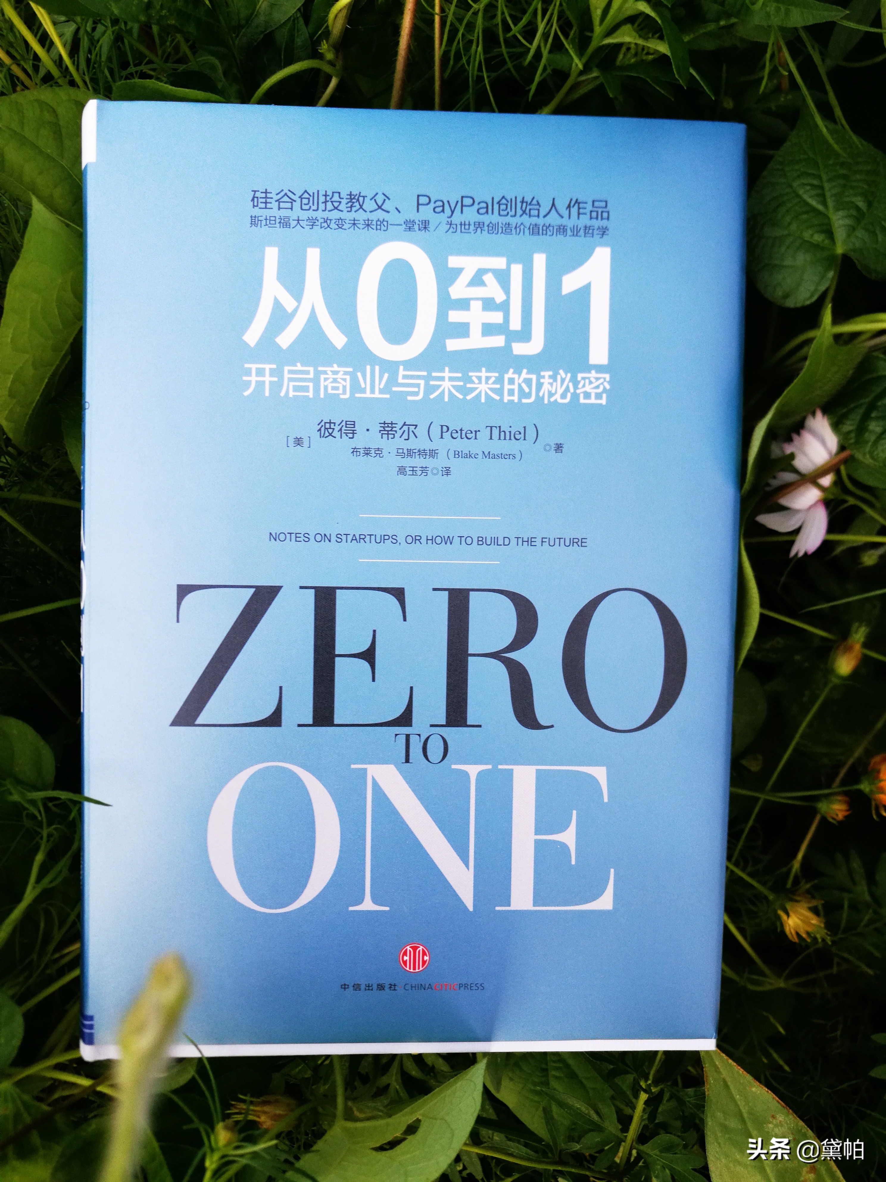 投资小白必看,从0-1创业者