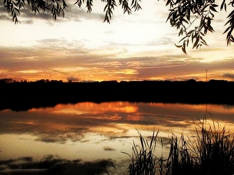 东北种地大户一年能赚多少钱,东北农民种植真实收入