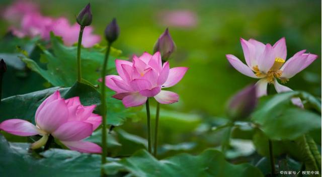 如何预防或减少药物副作用,免疫治疗药物副作用