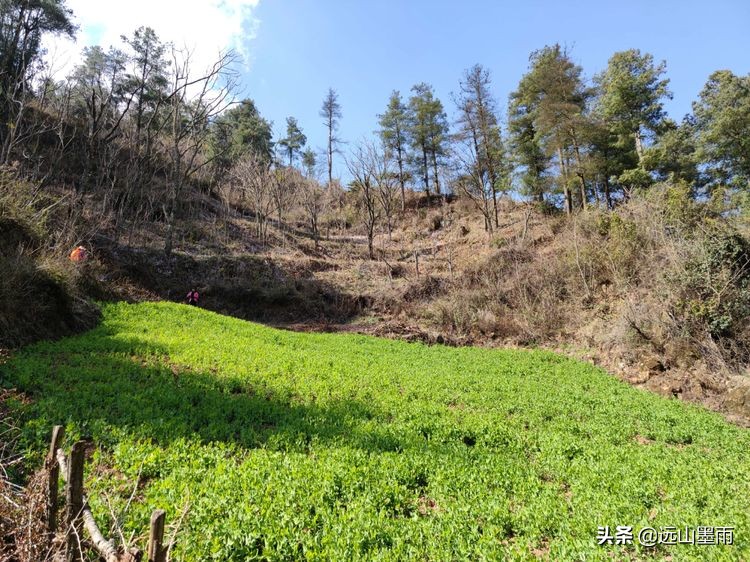 昆明谷堆山攻略,昆明棋盘山徒步攻略