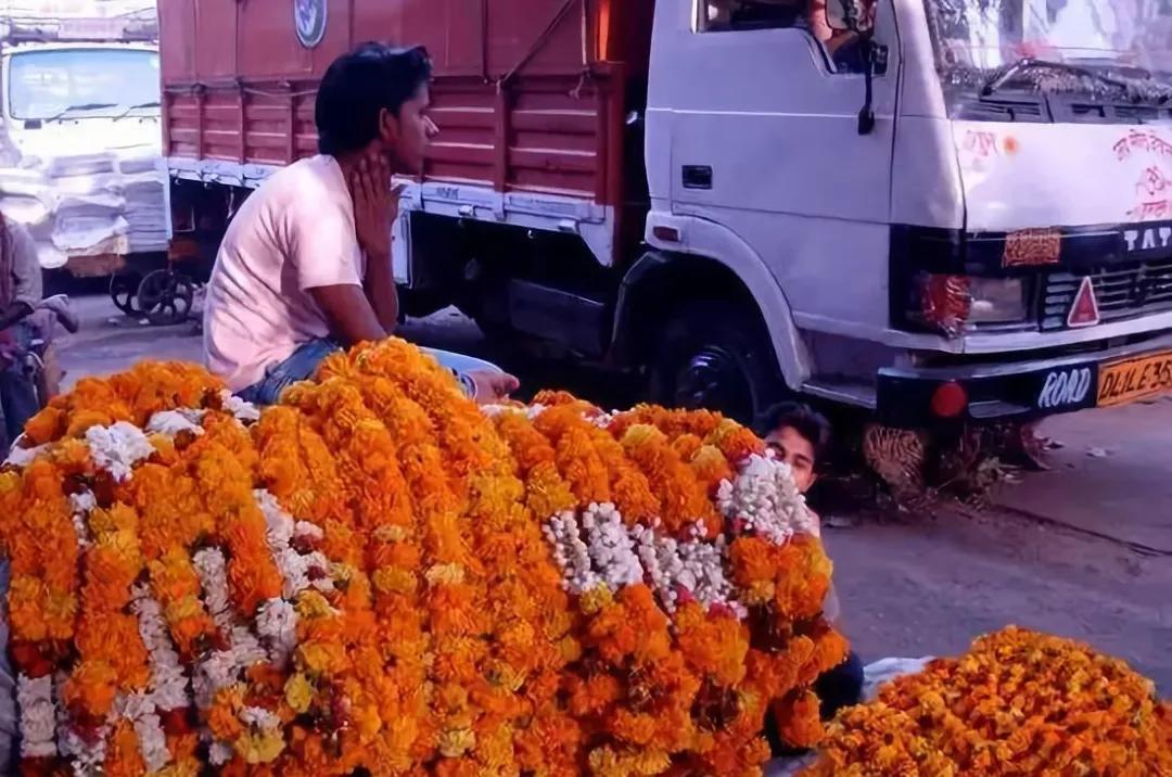 世界花卉交易市场排行榜前十名,世界上最稀有的花卉市场