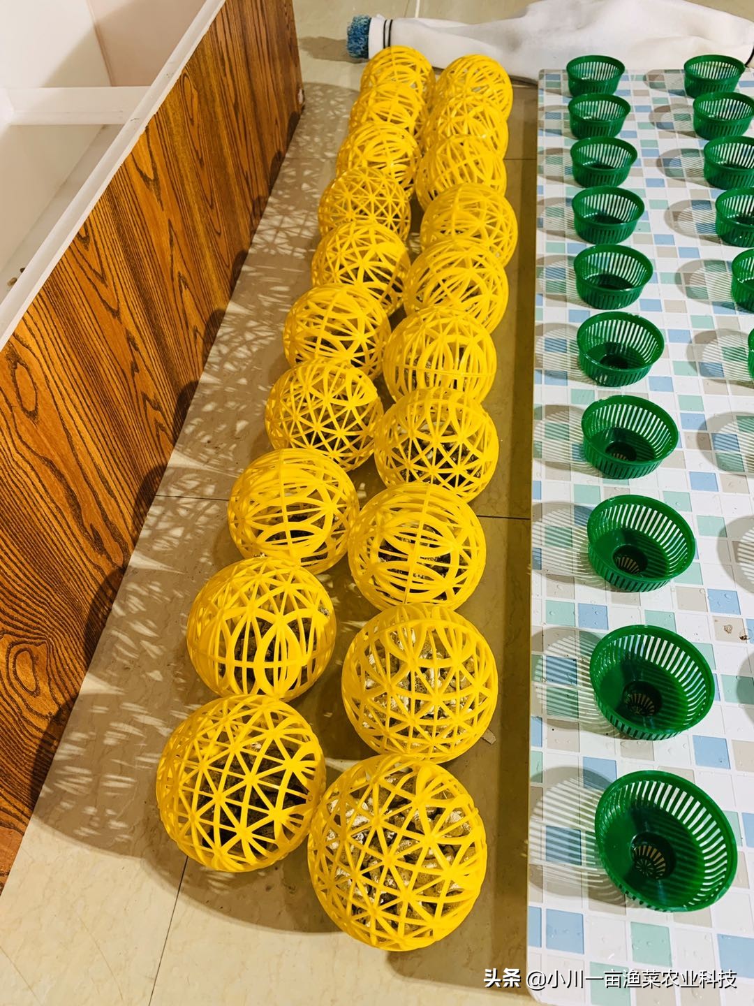 鱼菜共生系统全套设备,鱼菜共生系统管理方案