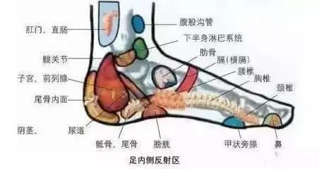 鍗疯￥鑴氶湶琚滆鏁欏,绉嬪啲鍗疯￥鑵块湶鑴氳笣