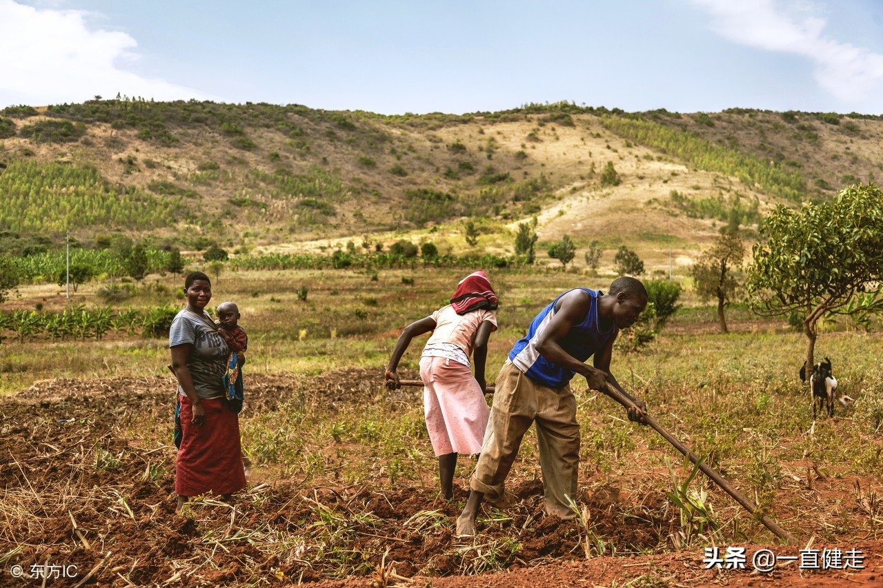一目了然——《诗经》（256——265）