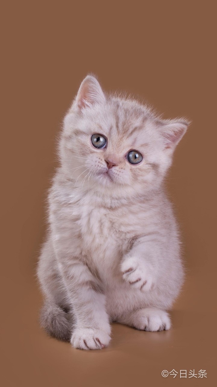 2020.1.23新型冠状病毒,对新型冠状病毒疫情的了解