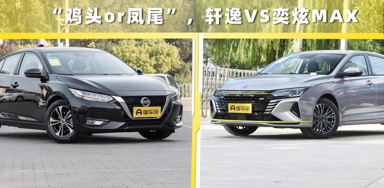 鸡头和凤尾买哪个,鸡头凤尾对比