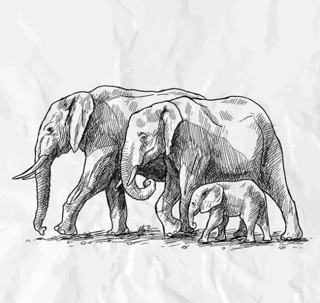 描写动物的好词佳句和片段作文,描写动物的作文句子段落摘抄大全