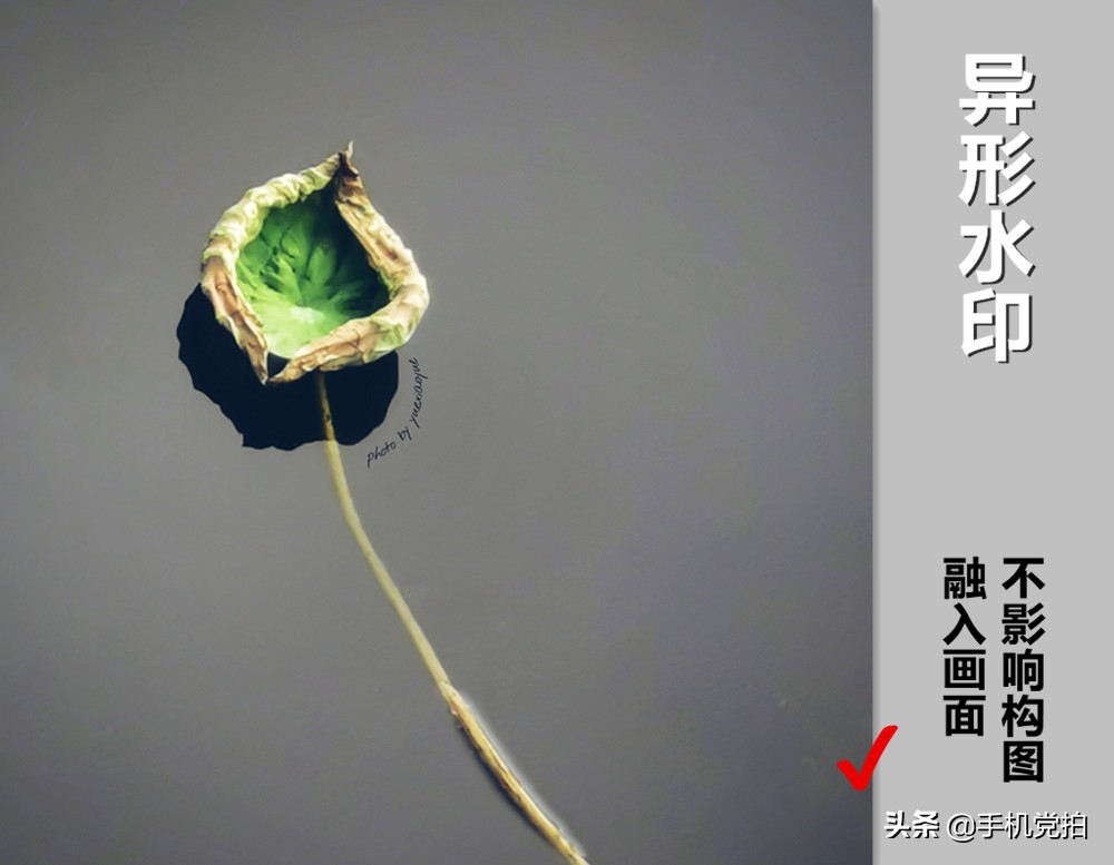 如何快速给大量照片添加水印,怎么给照片加好看的水印