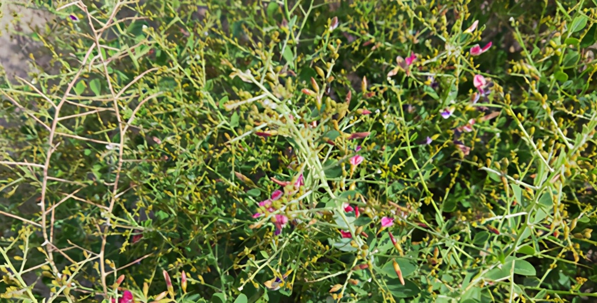 徒步西藏敦煌攻略,徒步走敦煌莫高窟