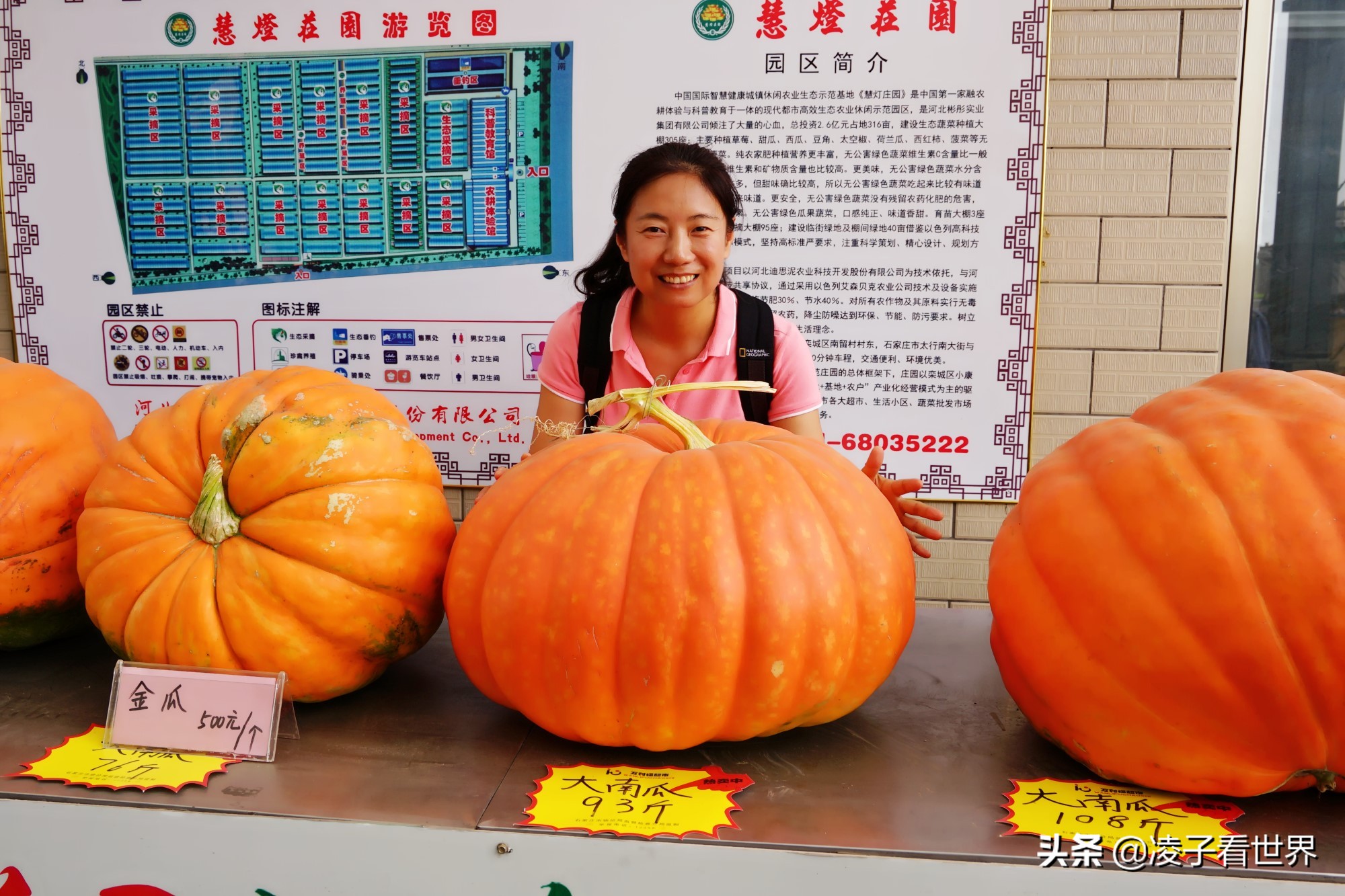 鐭冲搴勬収鐏簞鍥ソ鐜╁悧鍊煎緱鍘诲悧,鐭冲搴勬収鐏簞鍥檮杩戦噰鎽樺洯