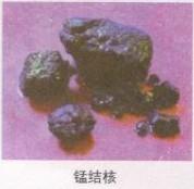 第十单元酸碱盐知识点,中考化学第十单元酸碱盐