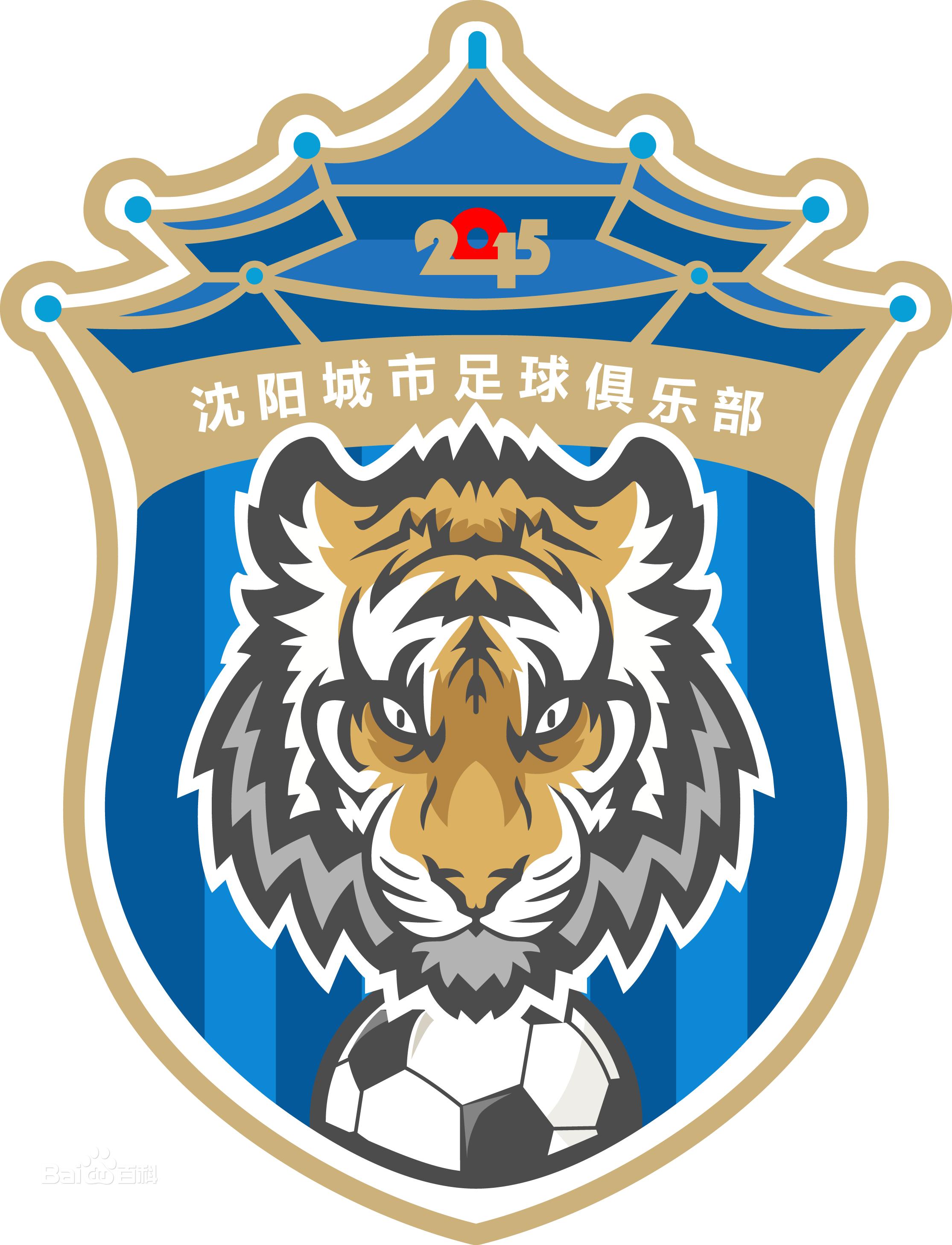 辽足沈阳足球队,再见辽足现场版