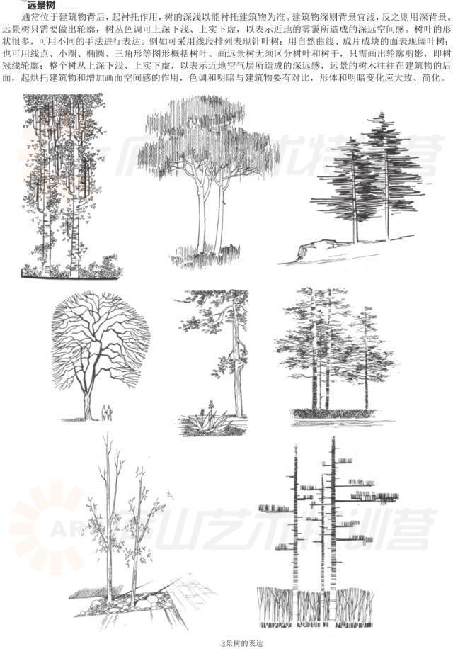 儿童绘画涂色基础入门教程,零基础新手绘画入门教程