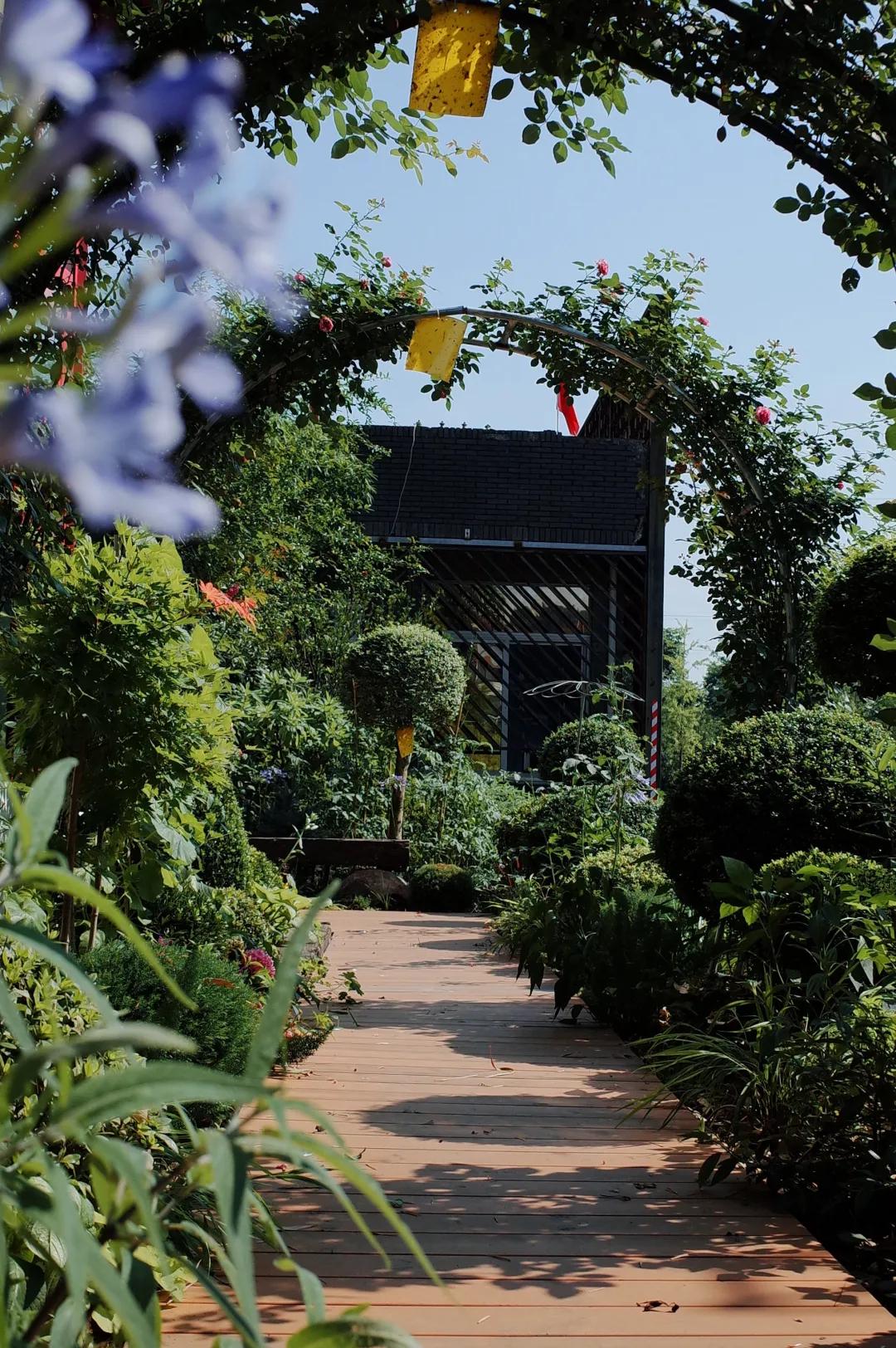 杭州西湖人少景美的地方,杭州人少景美免费景点