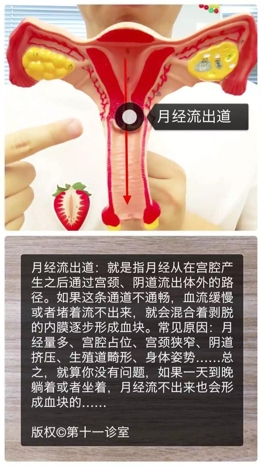 测试月经是什么色号,姨妈的不同色号代表什么