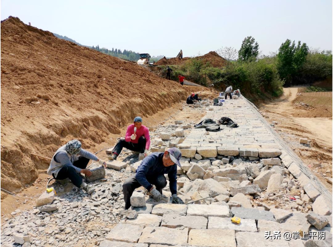 平阴新闻|昨日玫瑰花目标价格检测公示；金融政策送上门助力创业妇女复工复产；水利设施除险加固惠民生