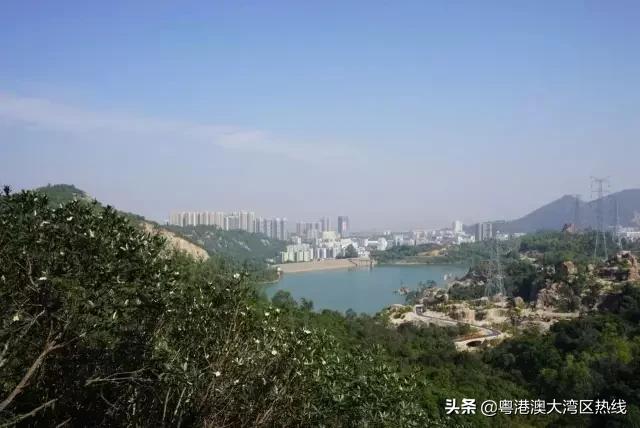 珠海打造粤港澳大湾区经济新引擎,珠海大湾区会成为经济中心吗