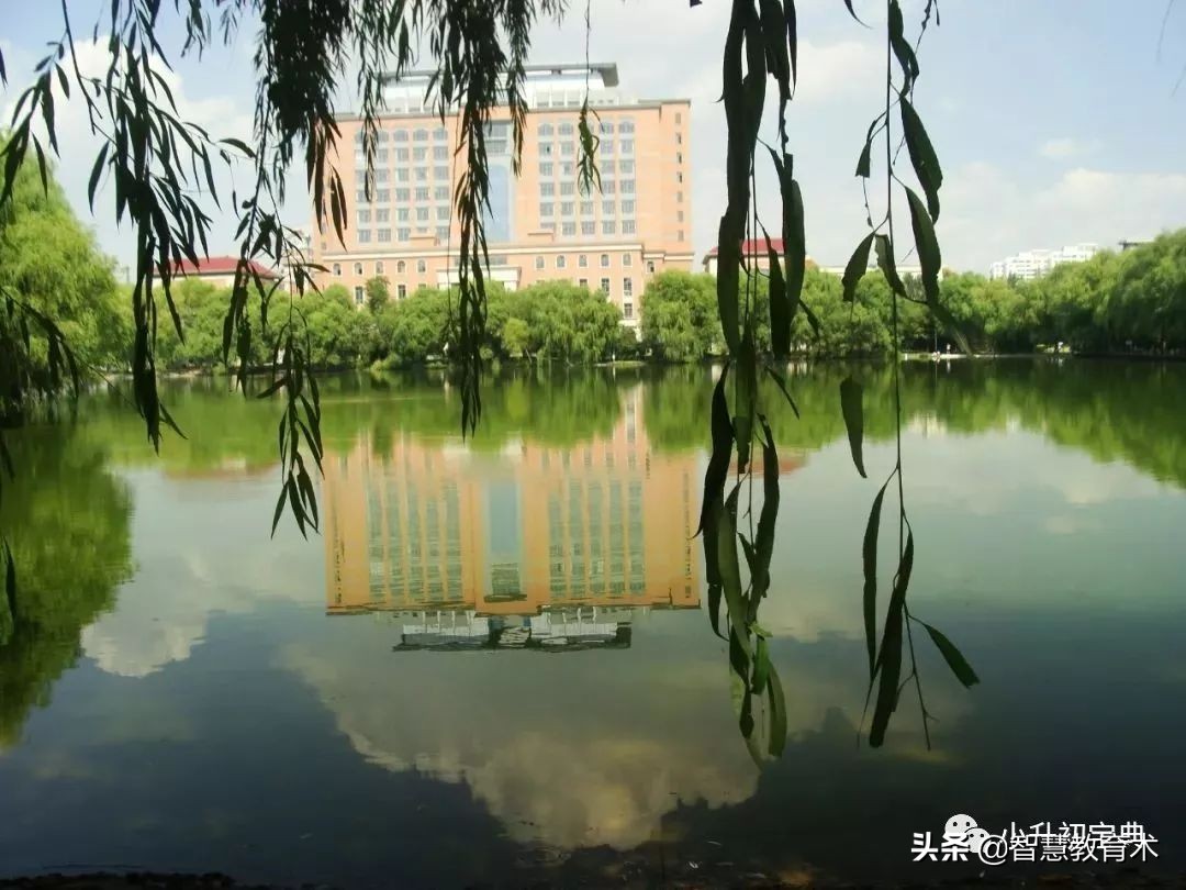 上海小学梯队排名和对口初中,上海16个区小学中学推荐