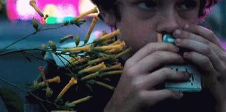 全美最讨厌明星,美国最讨厌的20位明星