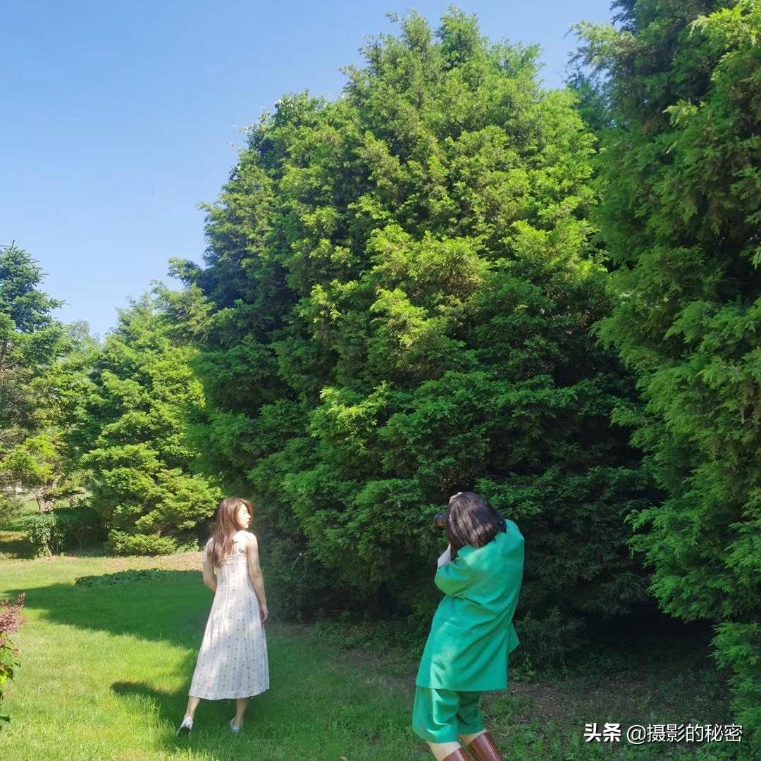 影视摄影与制作专业就业前景,美术摄影专业就业方向与就业前景