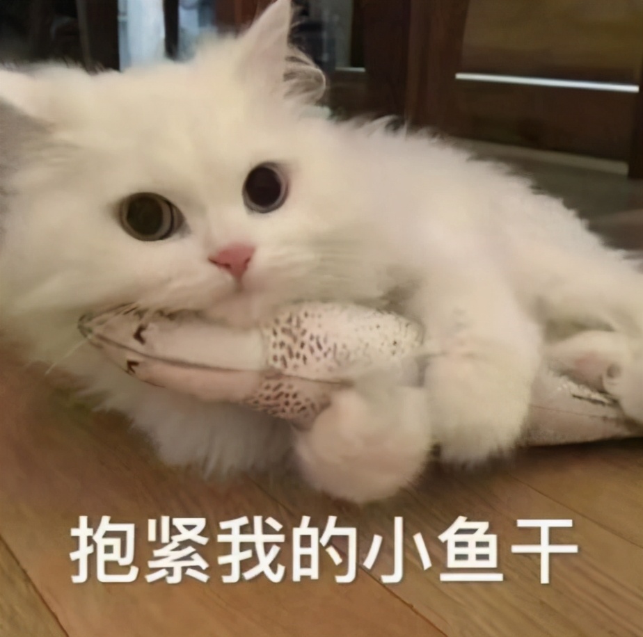 蛀牙与牙周炎哪个更严重,慢性牙周炎口腔健康的头号杀手