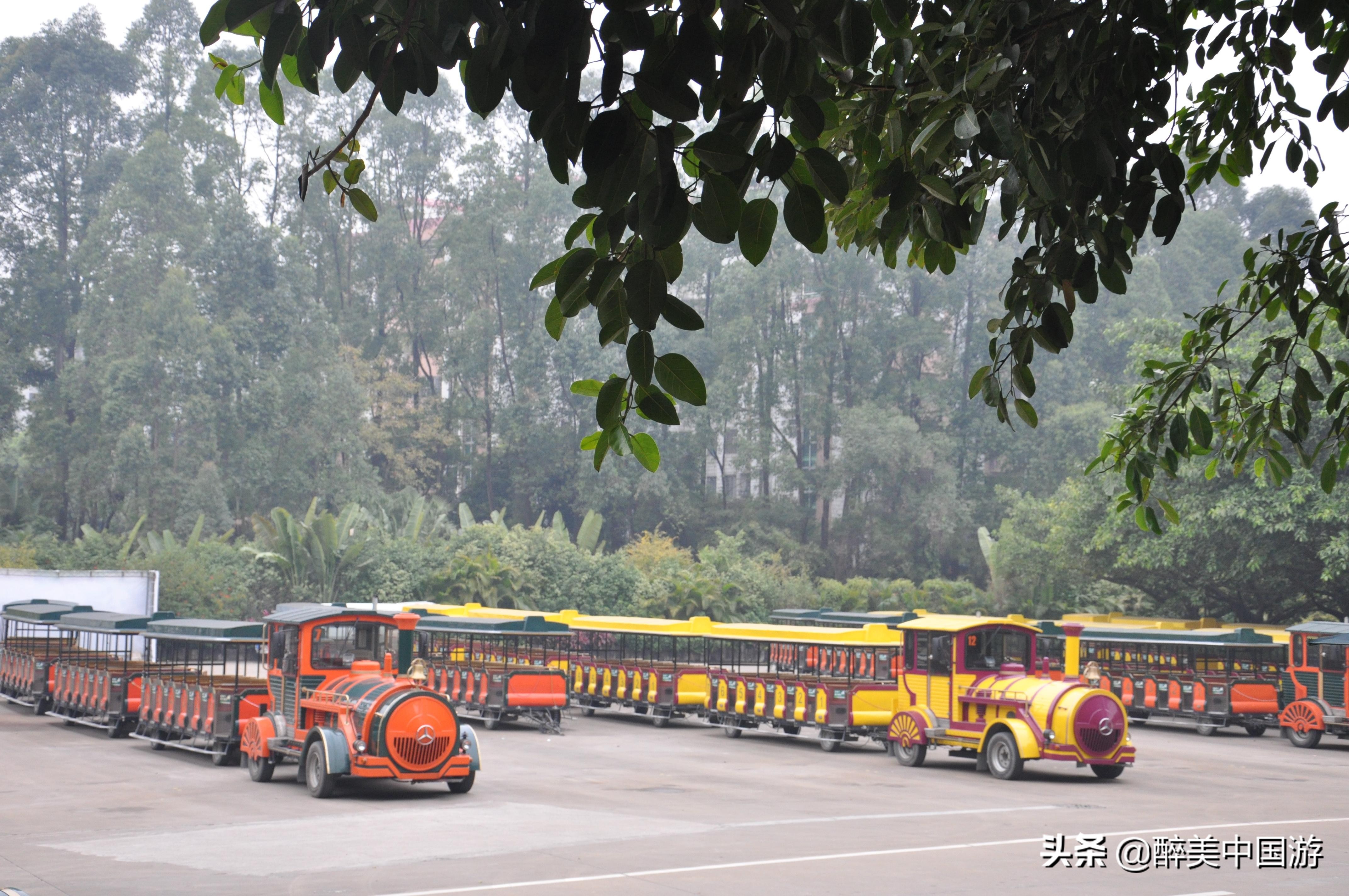 广州长隆野生动物世界参观指南,带你去看广州长隆野生动物世界