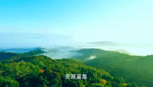 直播预告丨“恩妮”“欧巴”喊你看直播啦！